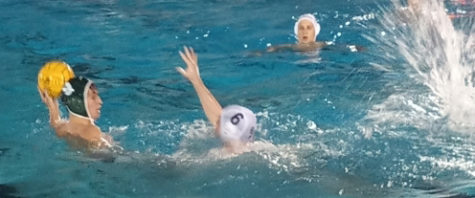 Junior Joseph Campanella (#6) defends the goal from the Flanagan player in the boys water polo game on Feb. 13. The team won 17-4 to bring its record to 3-0. 