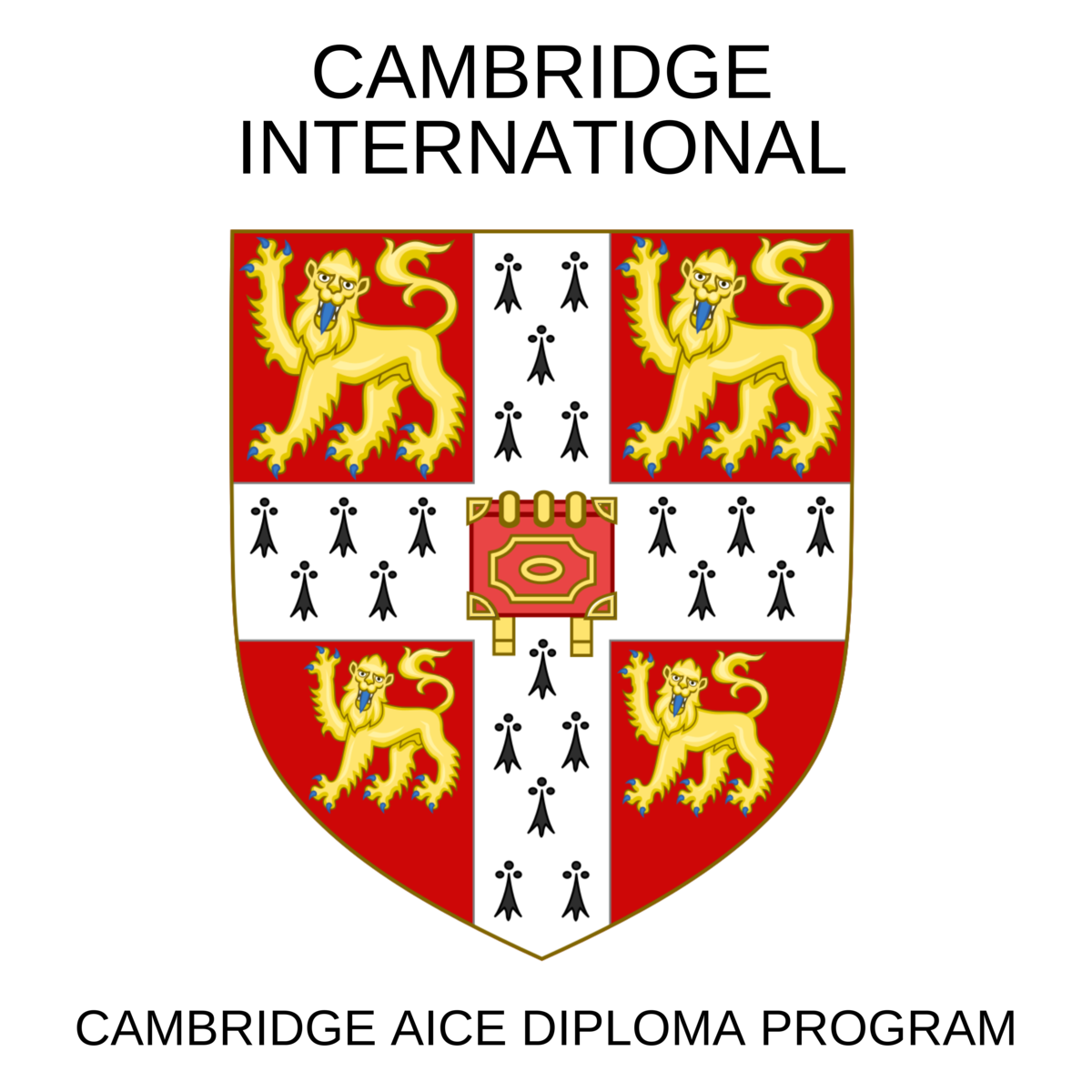Cambridge diploma comes to Pompano