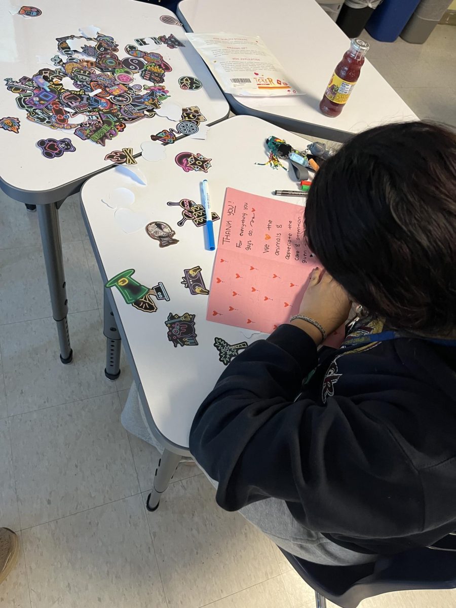 Zoology club member making cards for Palm Beach zookeepers