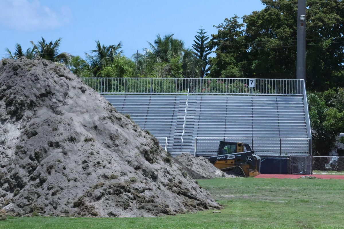 Home field advantage: Why Burrowing Owls could block Pompano’s new turf field