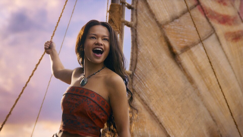 The Controversy of Remakes